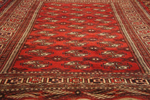 Load image into Gallery viewer, SCA-1002 Bokhara