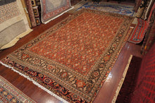 Load image into Gallery viewer, SG-1052 Caucasian