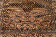 Load image into Gallery viewer, SG-1078 Tabriz