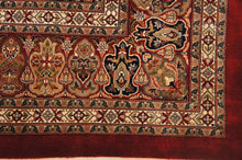 Load image into Gallery viewer, SG-1427 Bakhtiar