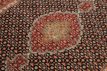 Load image into Gallery viewer, SG-1431 Tabriz