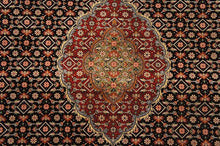 Load image into Gallery viewer, SG-1431 Tabriz