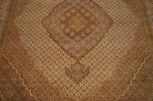 Load image into Gallery viewer, SG-1667 Tabriz