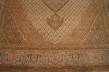 Load image into Gallery viewer, SG-1667 Tabriz