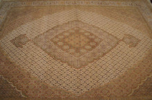 Load image into Gallery viewer, SG-1667 Tabriz