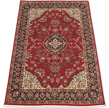 Load image into Gallery viewer, SC-4086 Kashan