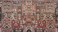 Load image into Gallery viewer, SC-4089 Bakhtiar