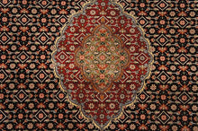 Load image into Gallery viewer, SG-1431 Tabriz
